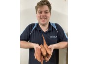 NEW SEASONS BEAU REGARD KUMARA - ORANGE - 1KG Northland Grown 